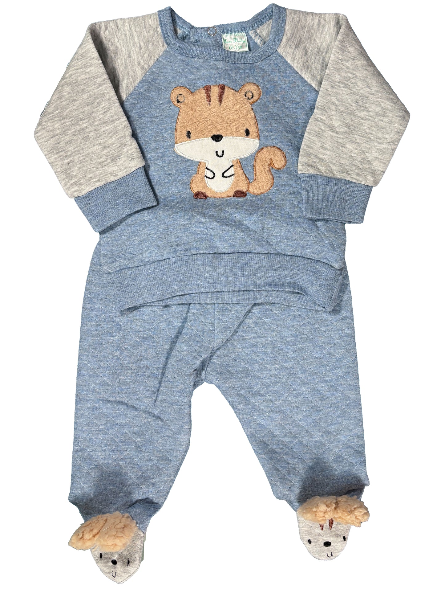 Conjunto Azul Ardilla