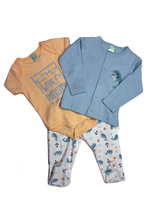 Conjunto 3p Whale