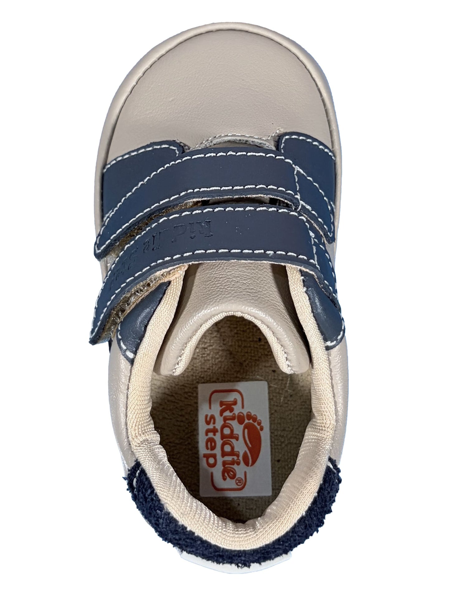 Zapato Habano con Azul